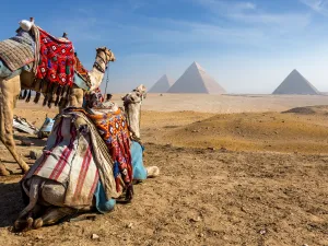 مدينة القاهرة
