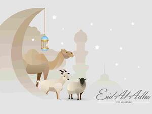 عيد الأضحى يُدخل البسمة والفرح للجميع صغاراً كانوا أم كباراً 