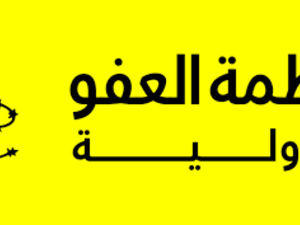 كثفت الولايات المتحدة ضربات الطائرات المسيرة في الصومال