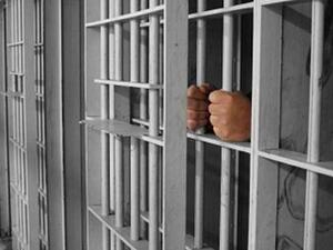  إخلاء سبيل الصحفيين محمد الحسيني، وأحمد السخاوي