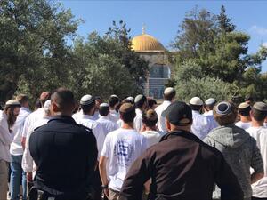 170 متطرفا، اقتحموا المسجد الأقصى المبارك صباح الاحد