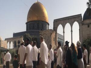 مستوطنون في ساحات المسجد الأقصى