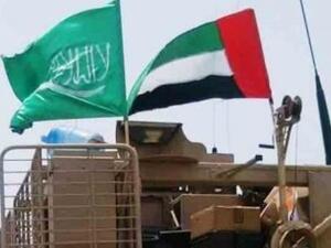  الجانبان السعودي والإماراتي يؤكدان استمرار دعم الحكومة الشرعية