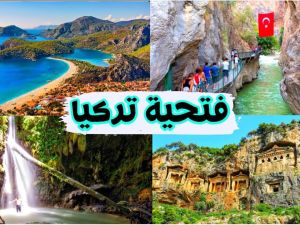 اين تقع فتحية