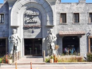 بايرتس إن ذا كاكتوس أكوابارك بودروم