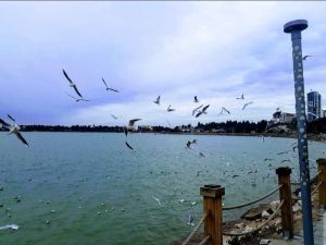 بحيرة اكياتان اضنة