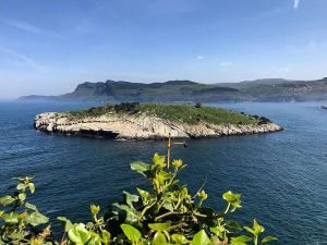 جزيرة تافشان في بودروم