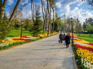 حدائق مرمريس