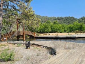 حديقة بيتر فيج مرمريس