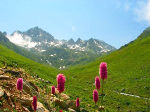 حديقة جبال كاجكار الطبيعية