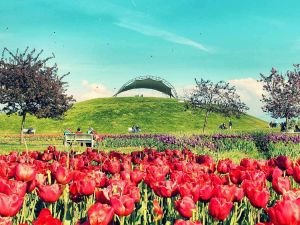 حديقة شهداء كورسو ازميت