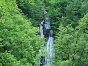 شلالات ريزا