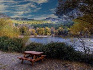 غابة انجيرالتي ازمير