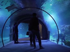 فنتاستيك أكواريوم ازمير