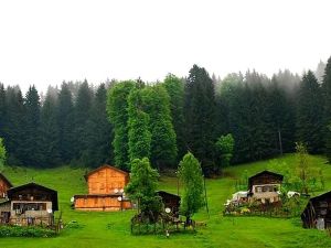 كم تبعد ايدر عن طرابزون