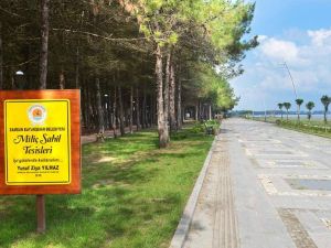 كورنيش اس بي بي ميليتش سامسون