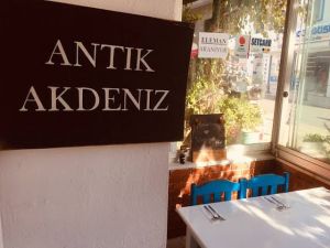 مطعم انتيك أكدنيز بودروم