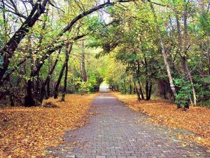 منتزه مرمريس الوطني