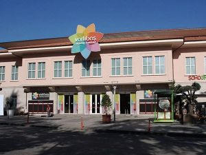 مول فارلي باش طرابزون