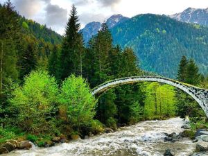 وادي شات ريزا