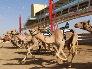 نجوم التلفزيون، والأفلام، والموسيقى في دبي