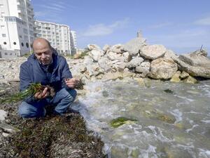'Lungs of the Mediterranean' at Risk (AFP)