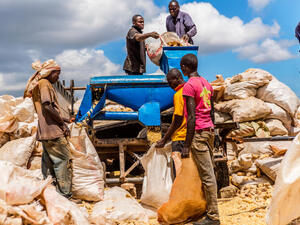 Millions Face Severe Food Insecurity in Africa