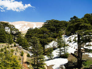 Must-See Middle East Nature Reserves