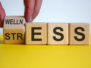 Study Finds 'Switching off' Certain Brain Cells May Reduce Stress