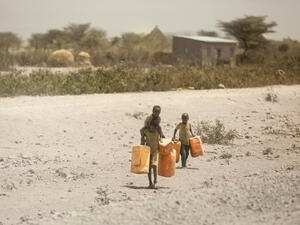 Ethiopia Hit by 'Worst Drought in 40 Years'