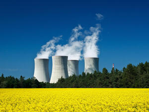 Green vs. Nuclear Energy: Which Option Is Better for MENA Countries?