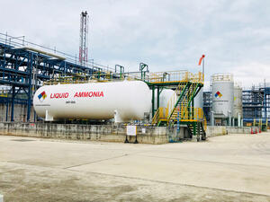 Global Ammonia Industry's Struggle to Remain Until 2030 Due to COVID-19