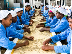 The workers would receive training in various sectors, including driving and nursing, and earn higher wages. 