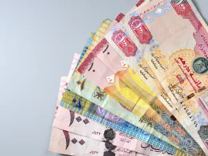 GCC Sovereign Issues Rise 25 Percent to $66 Billion During 2020