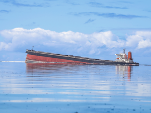Mauritius Oil Spill: Japanese Tanker Splits in Two On Coral Reef