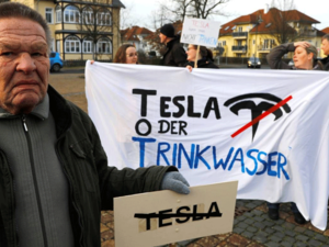 Germany Orders Tesla to Stop Cutting Down Trees for Gigafactory