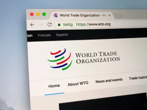 WTO Welcomes Applications for Young Professionals Programme