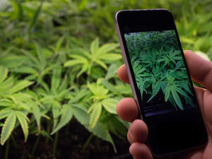 Facebook is unfortunately in the middle of a bad political decision-making process that Congress needs to address.