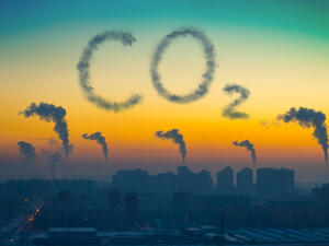 Firms Urged to Achieve Global Carbon Neutrality by 2050