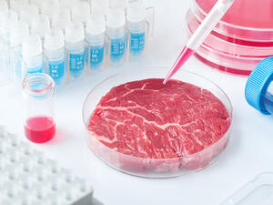 Eat Just to Start Selling Lab-Grown Meat in Singapore