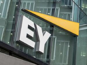 EY MENA expands consulting services with addition of The Collective