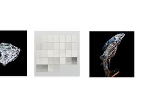 دعت كانون نخبة من خبراء التصوير من مختلف أنحاء العالم للمشاركة في تحكيم مسابقة هذا العام