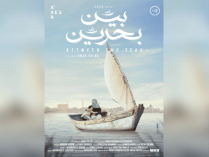 أخرج أنس فيلم بين بحرين وهو أول فيلم روائي طويل له، لتسليط الضوء على القضايا المجتمعية المختلفة التي تواجه النساء، خاصة في المناطق الريفية.