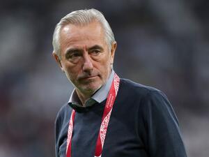 Bert van Marwijk
