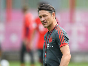 نيكو كوفاتش