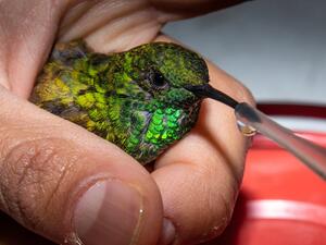 (Shutterstock/ File Photo)