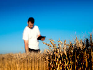 (Shutterstock/ File Photo)