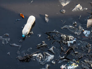 (Shutterstock/ File Photo)