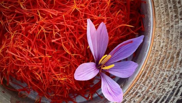 Exporters and farmers have been lamenting that underpricing has caused a surge in the smuggling of saffron to neighboring Afghanistan.
