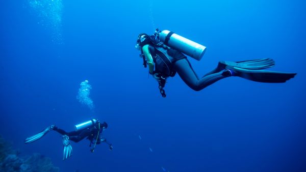 (Shutterstock/ File Photo)